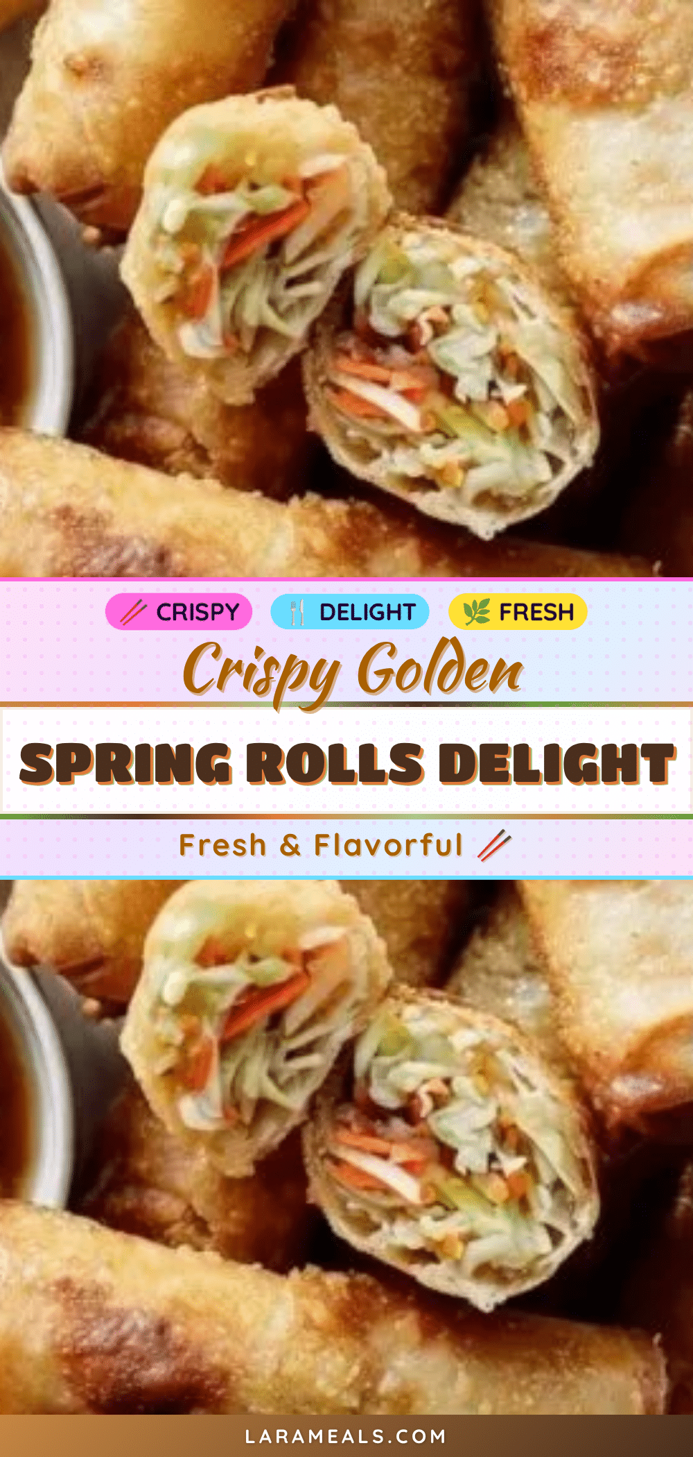 crispy spring rolls delight recipe