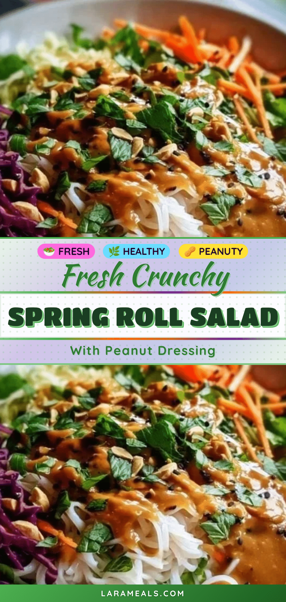 fresh spring roll salad with creamy peanut dressing recipe