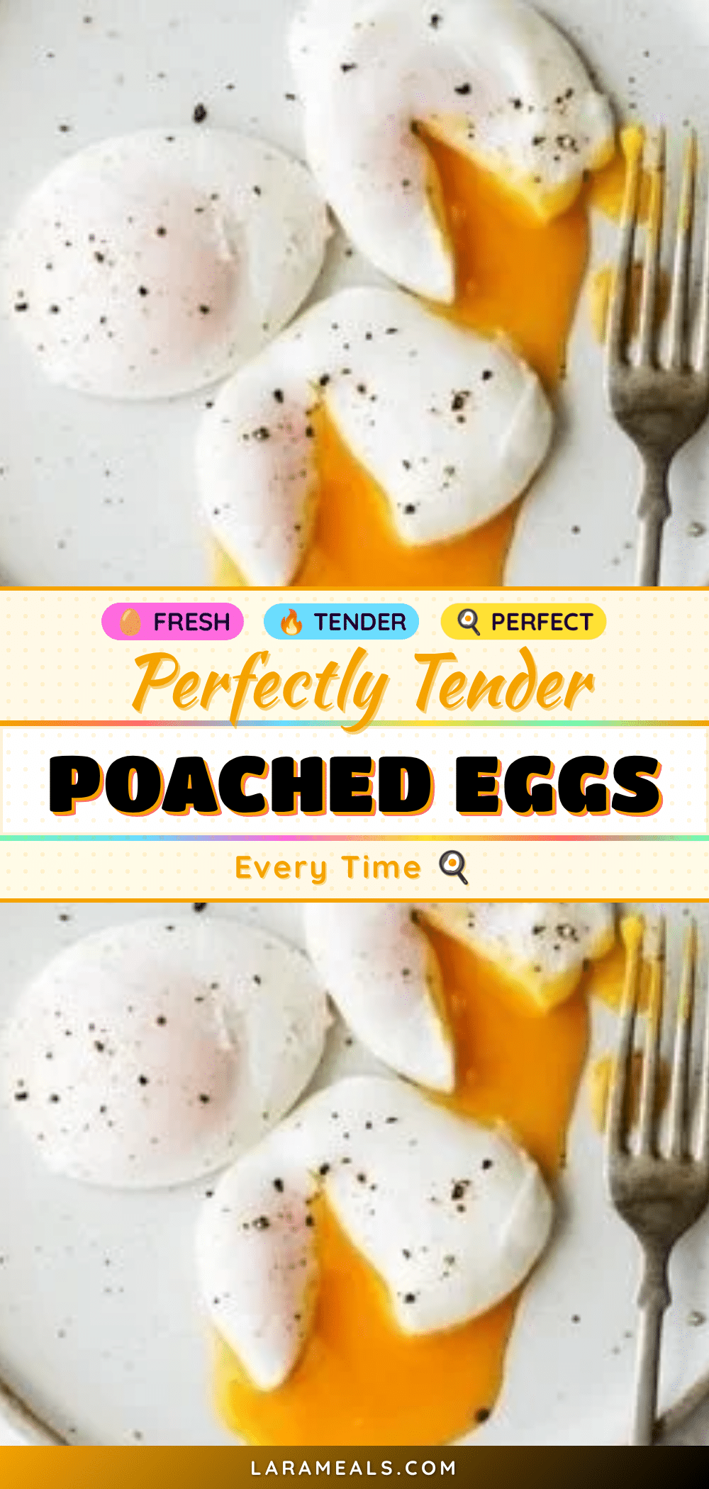 perfect poached eggs recipe recipe