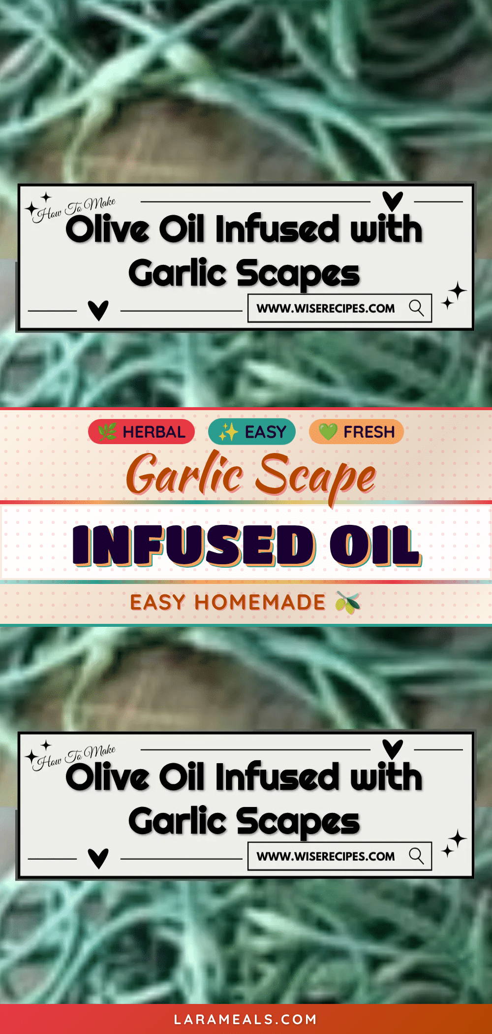 garlic scape infused olive oil recipe